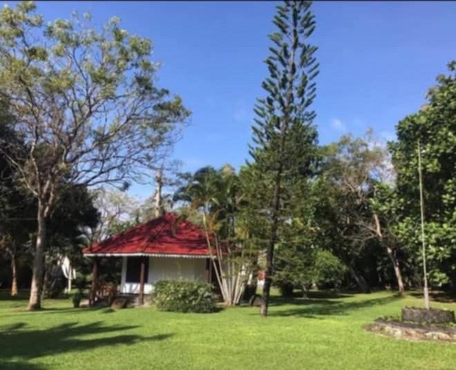 Subodinee Bungalow Weligama Bagian luar foto
