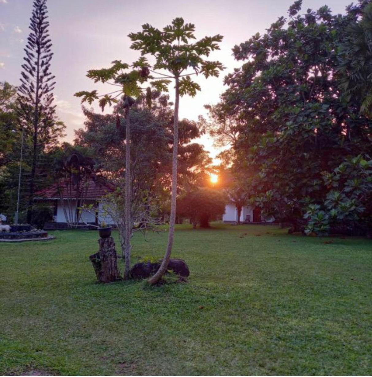 Subodinee Bungalow Weligama Bagian luar foto